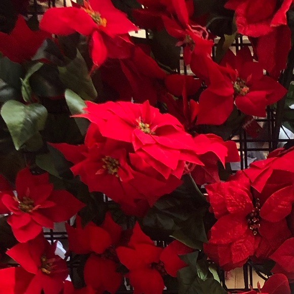 Meet your Posher, Alessia - Picture 1 of 1